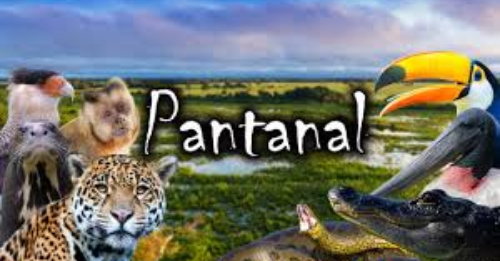 PANTANAL